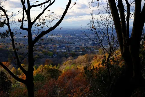Cityscape in the distance with a forest in fall colors in the foreground