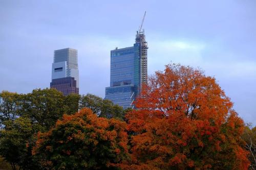 Two skyscrapers emerge from a foreground of trees in full autumn colors