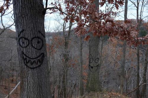 Trees with smily faces spraypainted on