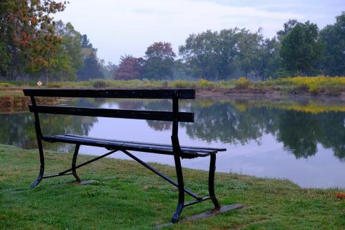 A park bench oversees a lake