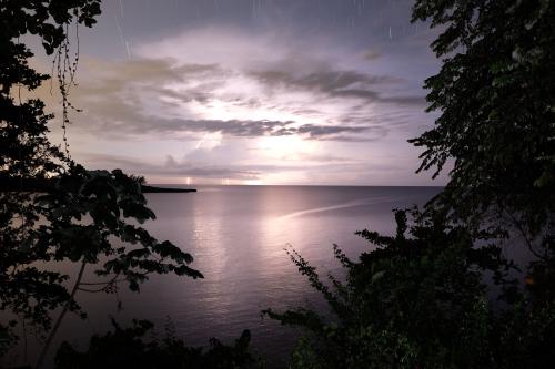 A night landscape over an ocean showing lightning strikes and startrails in the sky.