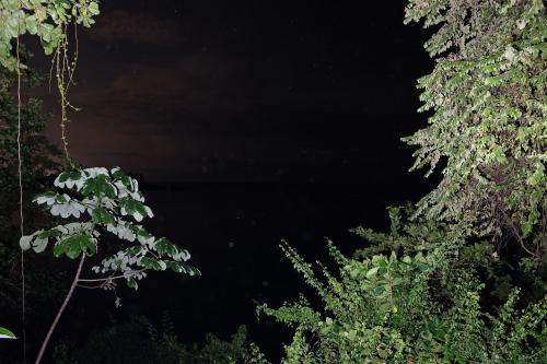A nighttime photo of an ocean framed by brightly lit foliage, with a dark sky and thunderclouds